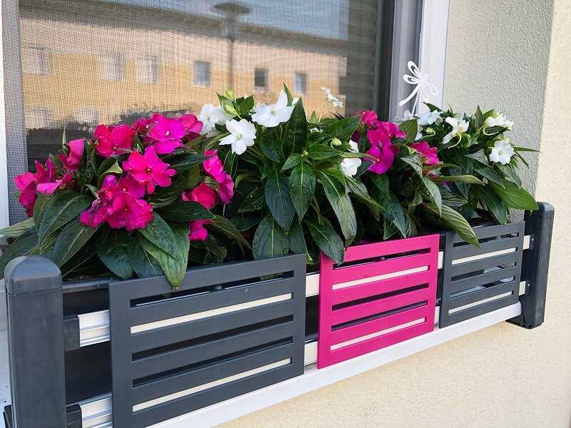 Die gleiche Fensterbank mit masu Blumenkastenhalterung ohne bohren