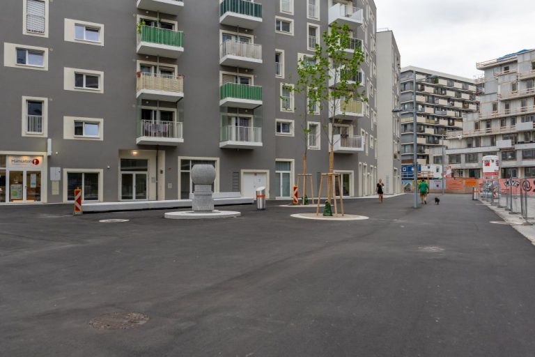 Seestadt Aspern, Asphalt statt Grün