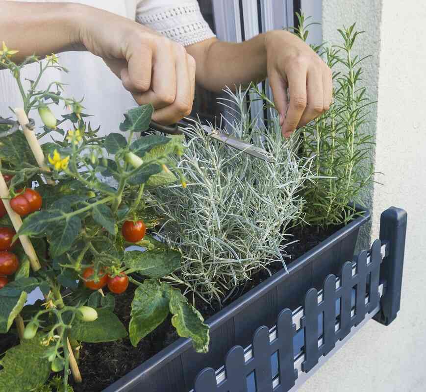 masu Blumenkastenhalterung ohne Bohren, urban gardening, fensterbank, 