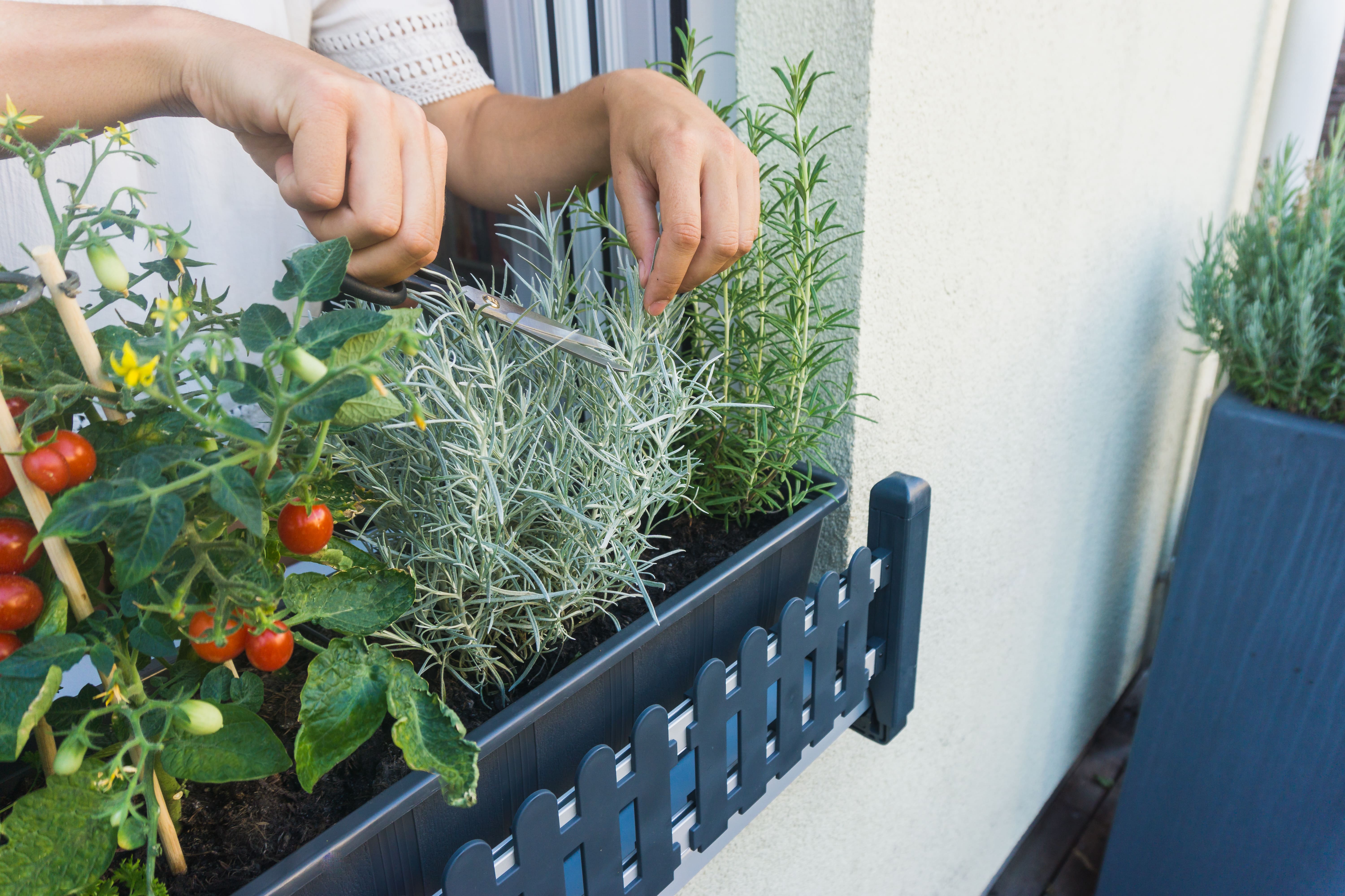 masu Blumenkastenhalterung ohne Bohren, urban gardening, fensterbank,